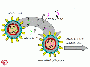 استفاده ازوکتورویروسی درن درمانی