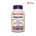 قرص منیزیم اکساید Webber Naturals Magnesium Oxide 500mg وبر نچرالز (60 عددی)